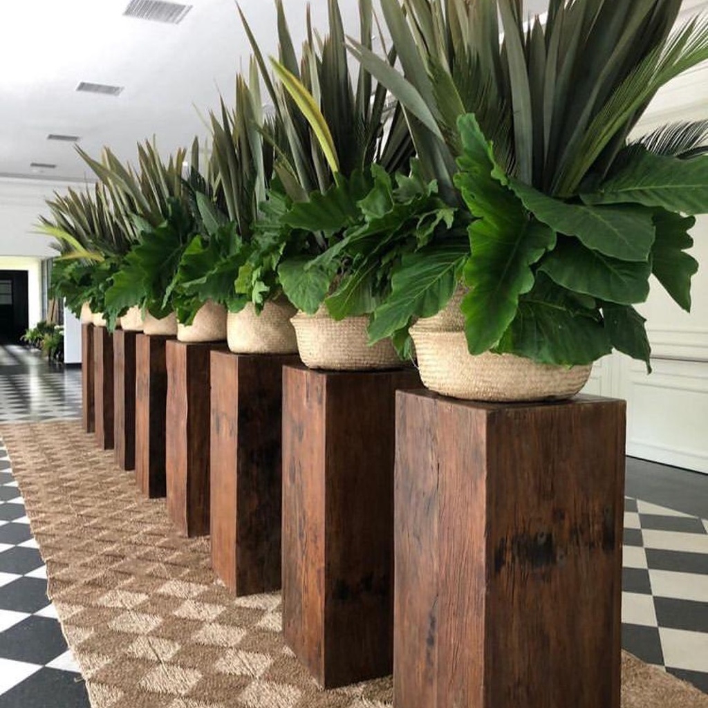 Pedestal - Macetero (Bajo)